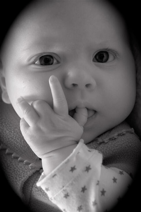 photographies naissance Strasbourg photographies naissance Strasbourg