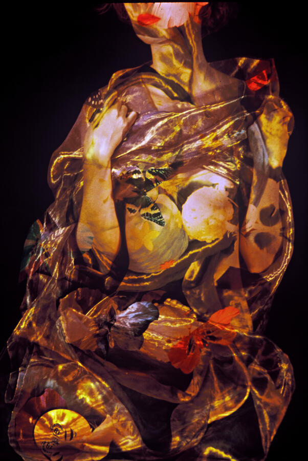 Le Jardin des Délices