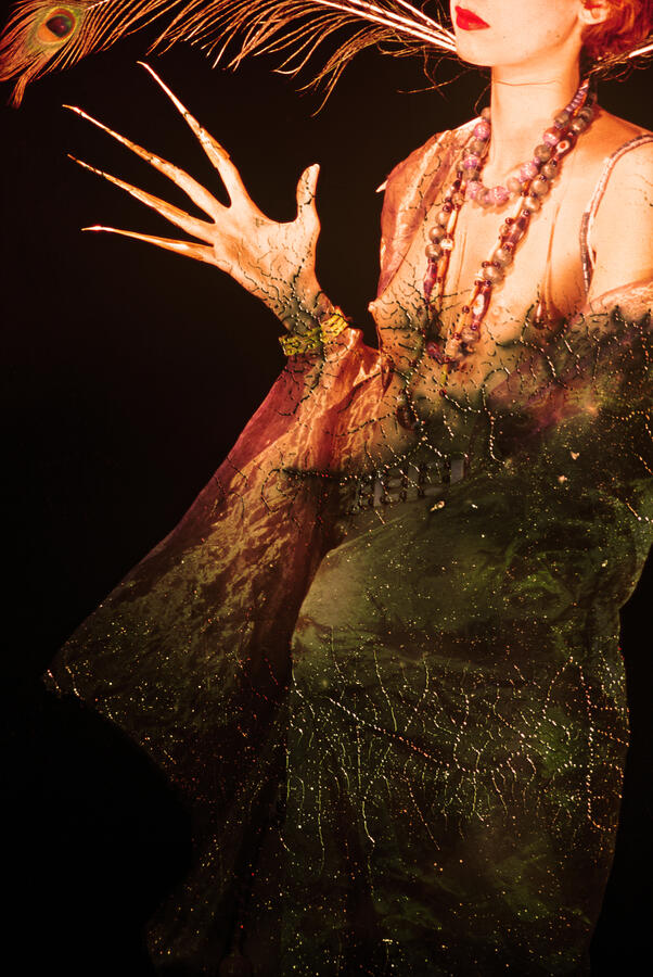 Plumage d&#39;Amazone